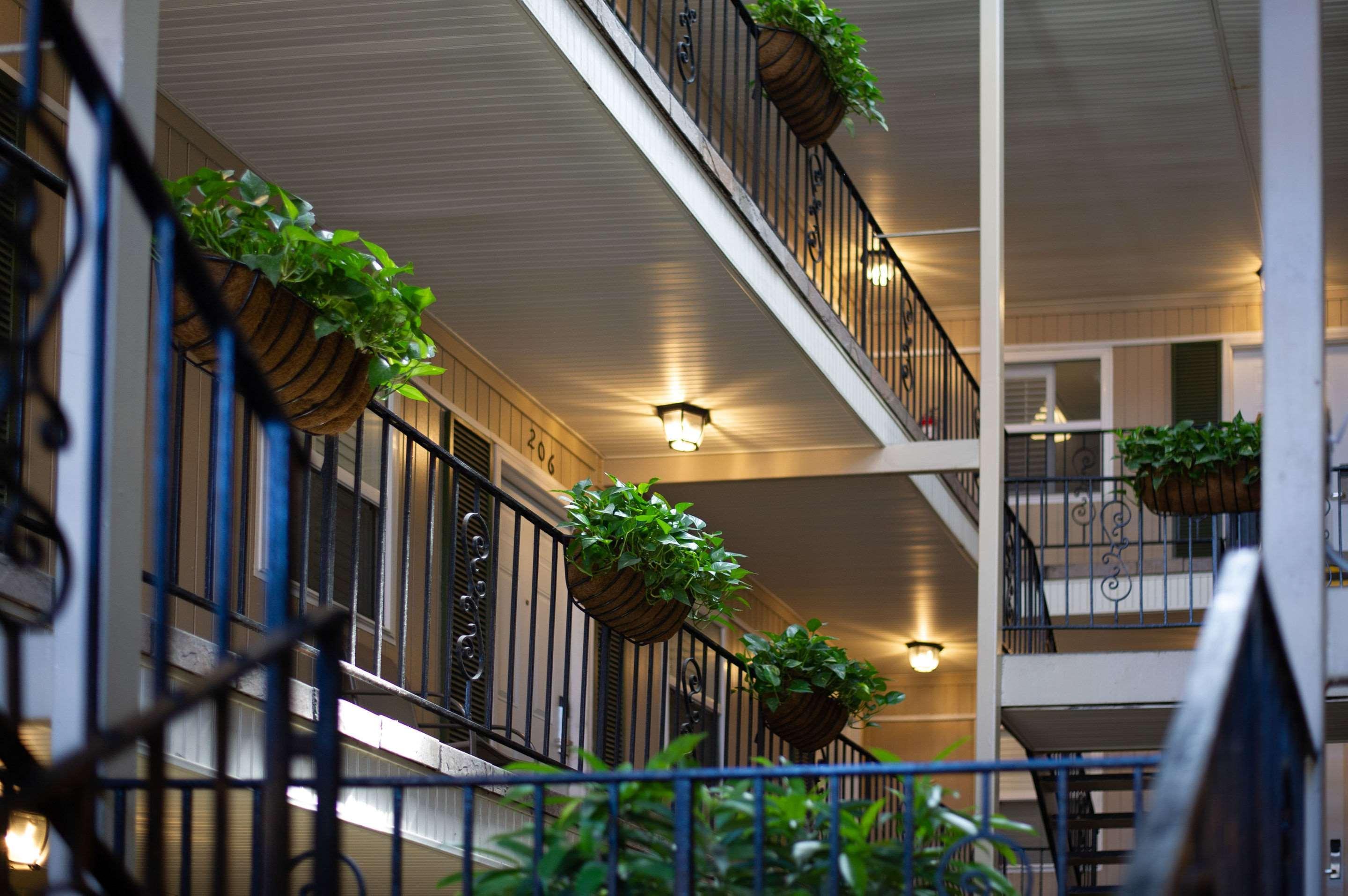 Frenchmen Orleans At 519, Ascend Hotel Collection New Orleans Ngoại thất bức ảnh