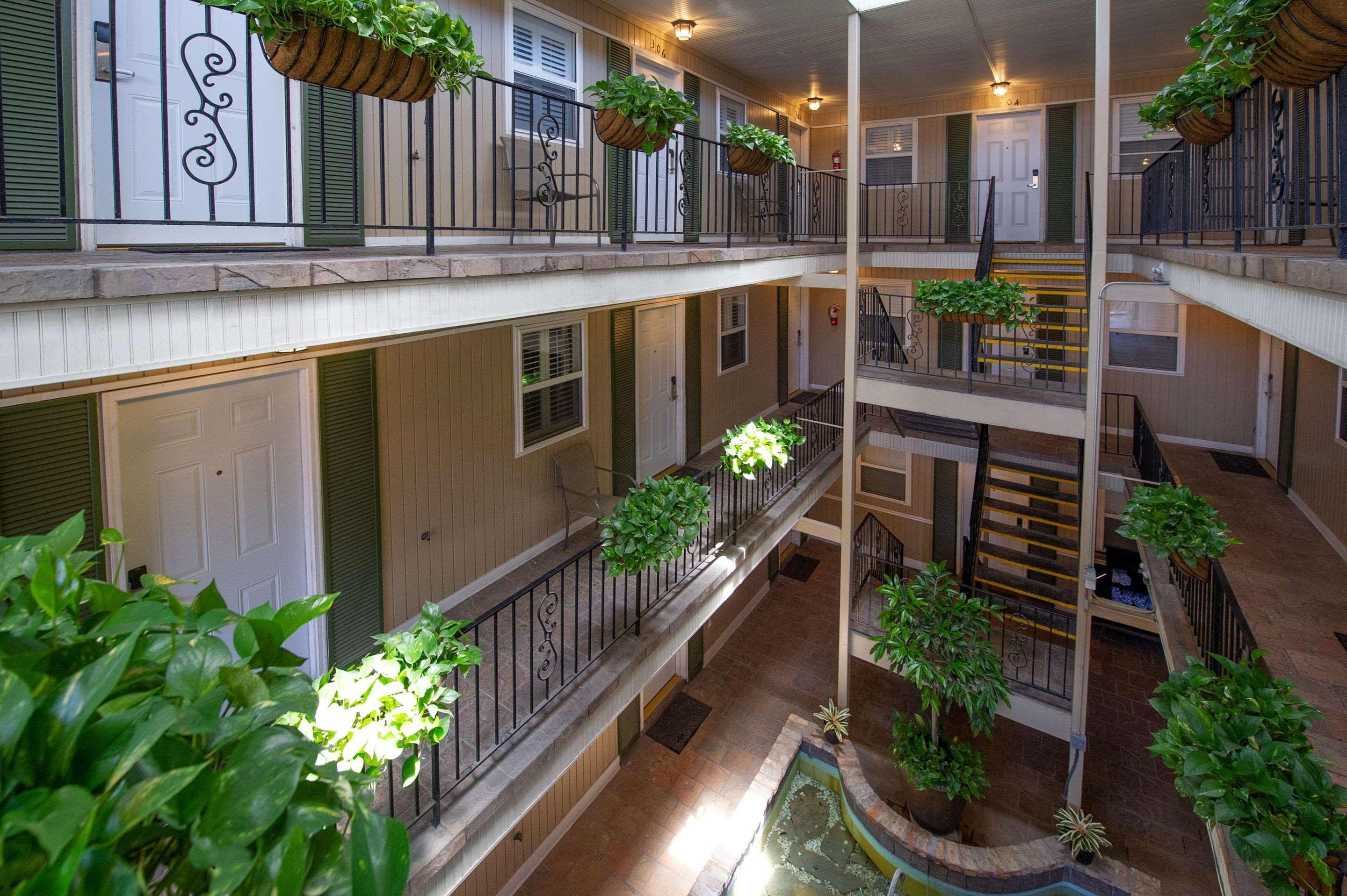 Frenchmen Orleans At 519, Ascend Hotel Collection New Orleans Ngoại thất bức ảnh