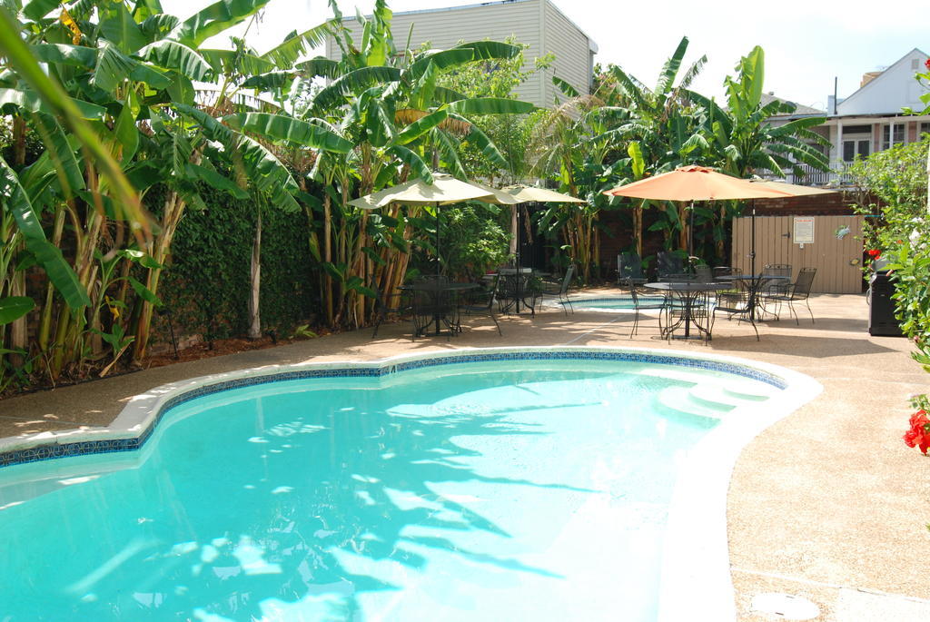 Frenchmen Orleans At 519, Ascend Hotel Collection New Orleans Ngoại thất bức ảnh